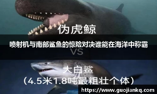 喷射机与南部鲨鱼的惊险对决谁能在海洋中称霸